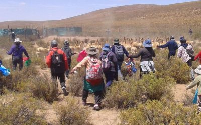La perspectiva etnográfica en la producción de conocimiento:  reflexiones a partir de estudios en comunidades campesino-indígenas en los Andes Centrales